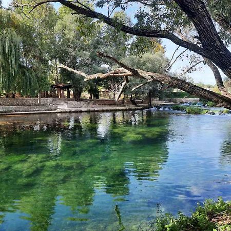 Guest House Green River Liyubuşka Dış mekan fotoğraf