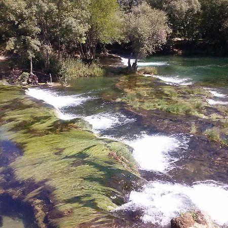 Guest House Green River Liyubuşka Dış mekan fotoğraf