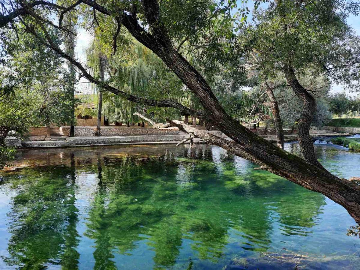 Guest House Green River Liyubuşka Dış mekan fotoğraf