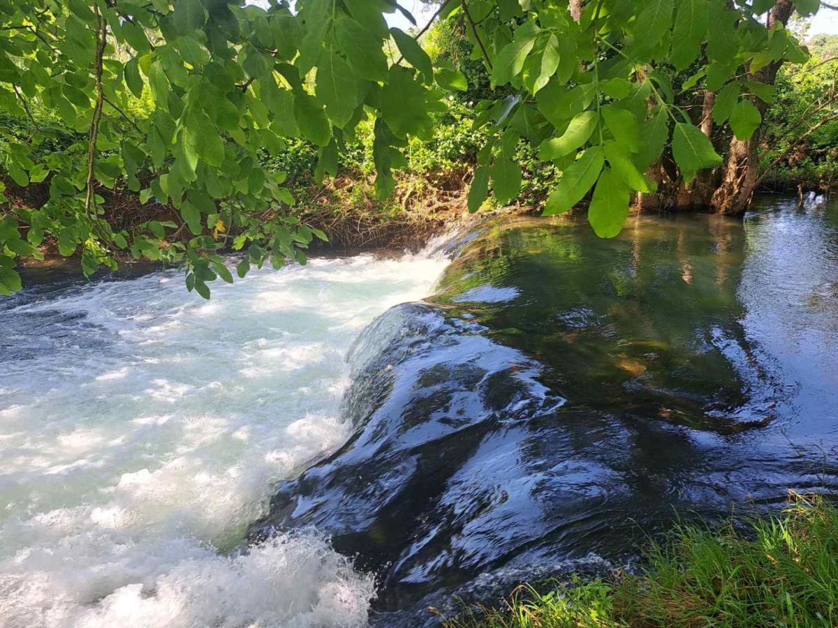 Guest House Green River Liyubuşka Dış mekan fotoğraf