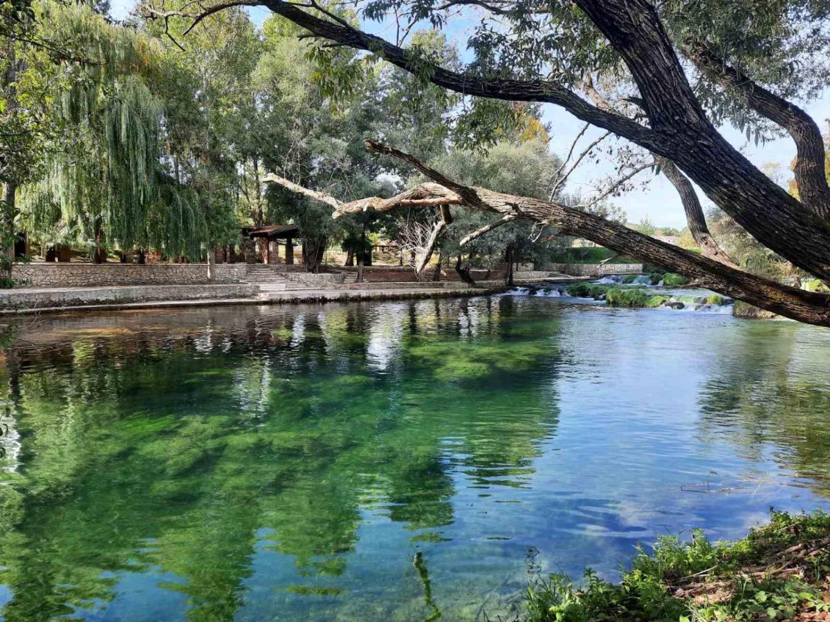 Guest House Green River Liyubuşka Dış mekan fotoğraf
